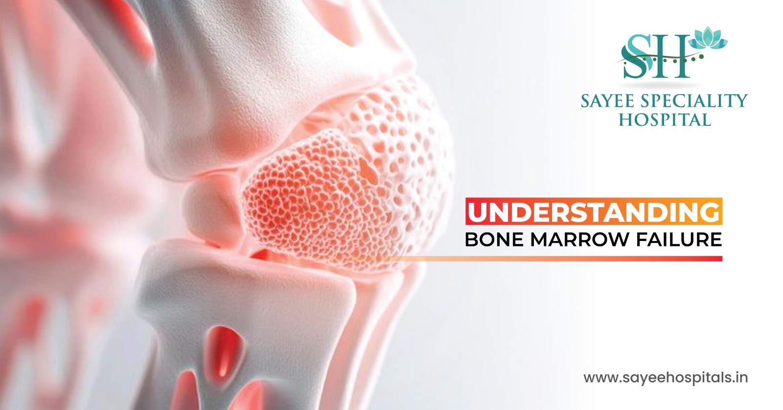 Understanding Bone Marrow Failure