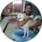 selva kumar